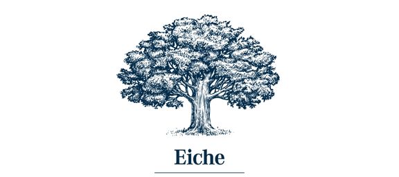 Holzart Eiche für Parkett