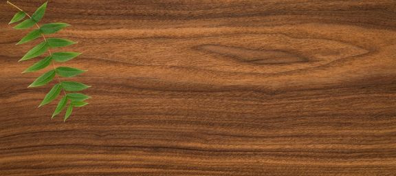 Parkett Nussbaum