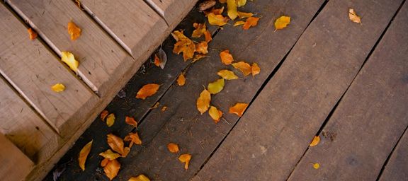 Douglasie Terrassenholz bei Ziller