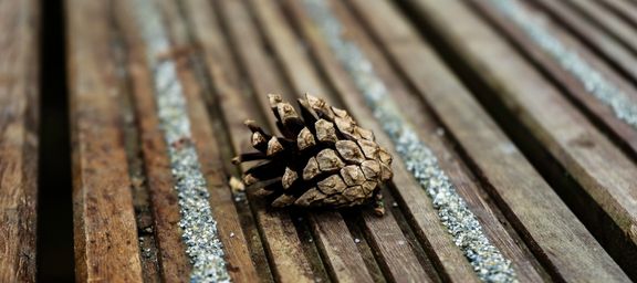 Thermoholz Kiefer Terrassendielen bei Ziller