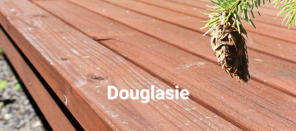 Douglasie