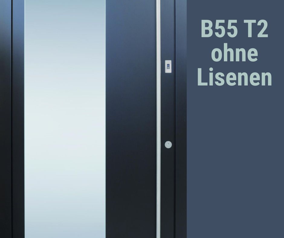 B55 T2 ohne Lisenen Haustüren bei Ziller
